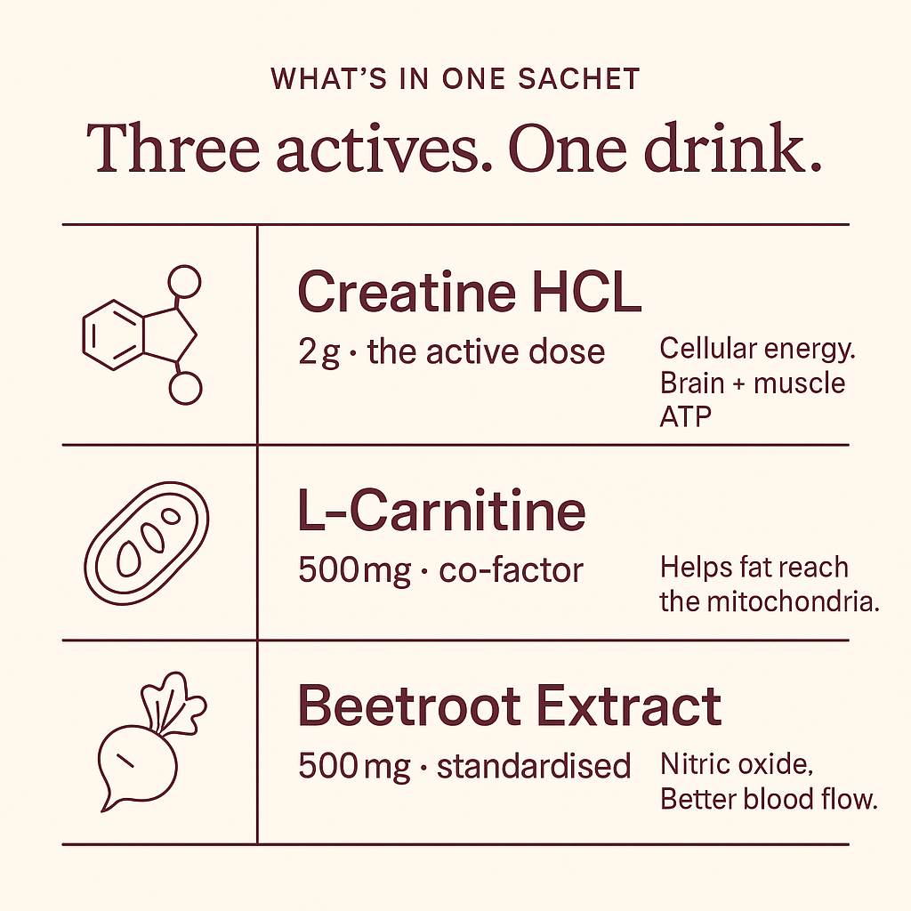 Three actives in one sachet — Creatine HCL, L-Carnitine, Beetroot Extract